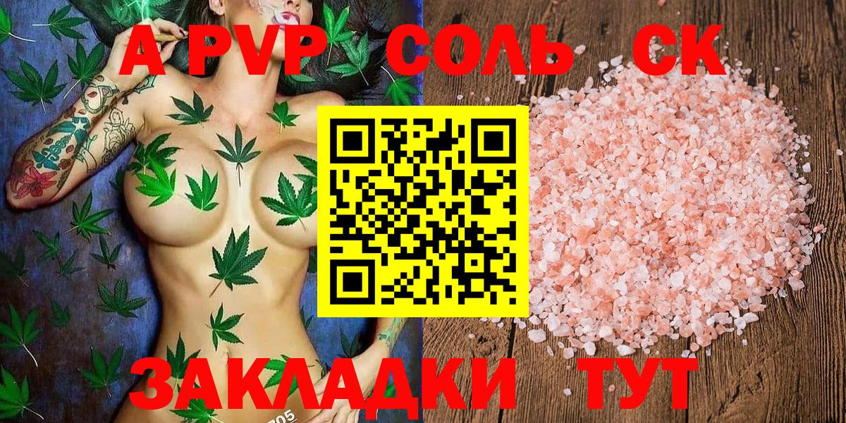A PVP СК Печора