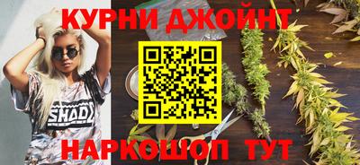 мяу мяу мука Бузулук